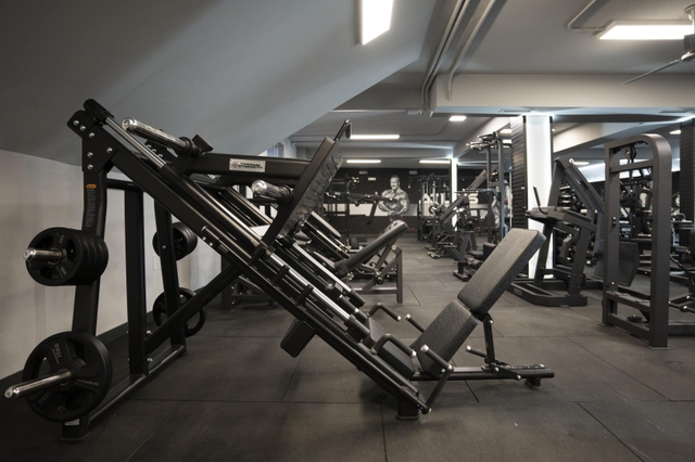 Zona de Entrenamiento