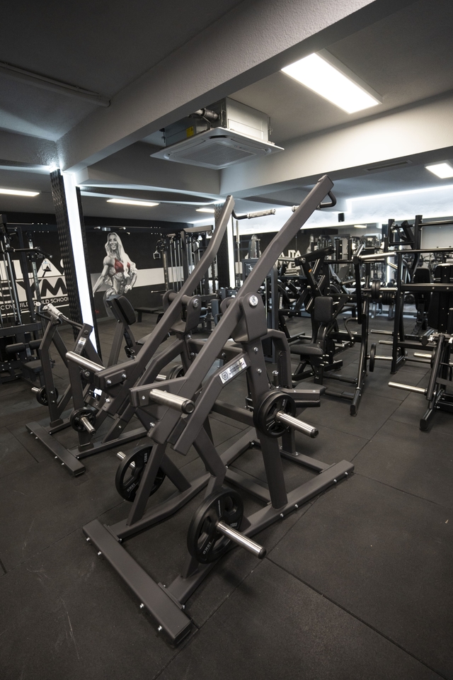 Entrenadores Personales